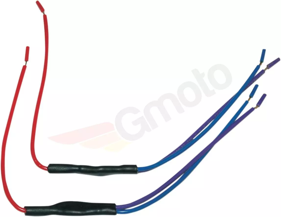 gmoto-1273460