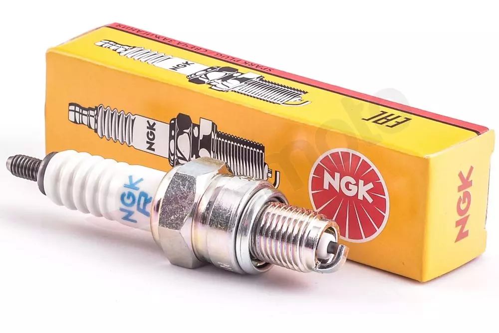 gmoto-1340949