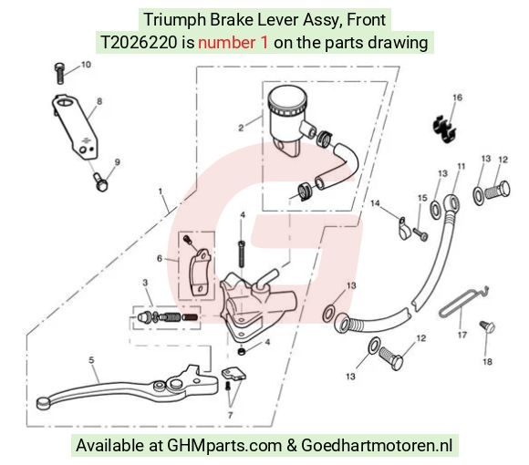 goedhartmotoren5-609824