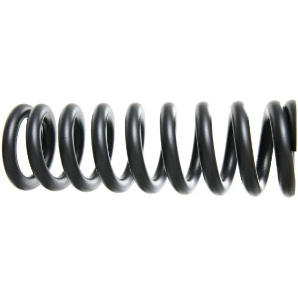 hollandbikeshop1-1208506