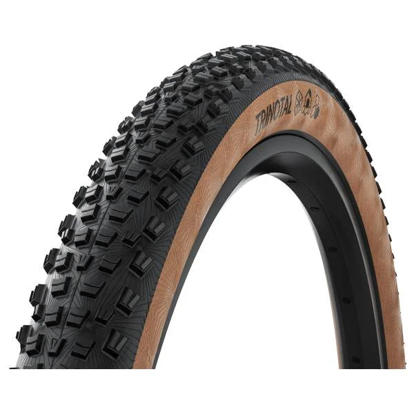 hollandbikeshop3-1473266