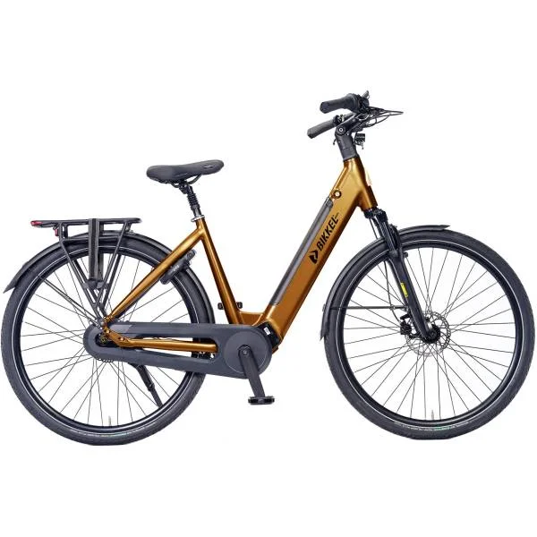 hollandbikeshop3-36286