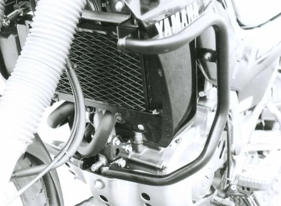 media.motoblouz6-377553